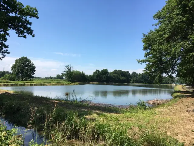 Cennik łowiska pod borem: poznaj ceny i warunki rezerwacji