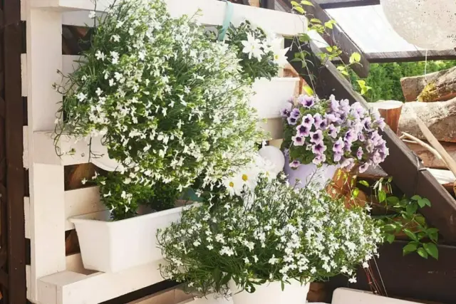 Jak zrobić kwietnik z drewna do ogrodu - proste kroki i porady