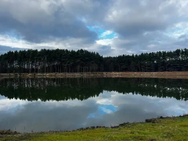 Łowisko Forest Lake: Tajniki sukcesu i karpie 20kg+?