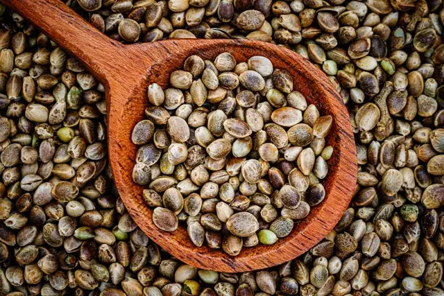 Nasiona konopi łuskane Rossmann – odkryj ich niesamowite korzyści zdrowotne