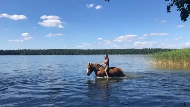 Stadnina Żarnowo - wyjątkowe miejsce na jazdę konną i wypoczynek