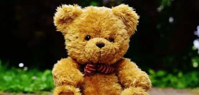 Jak powstaje miś pluszowy - niesamowita historia jego stworzenia