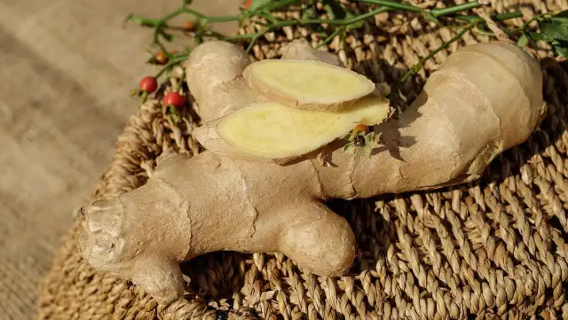 Imbir w doniczce: Uprawa krok po kroku świeży imbir w domu!