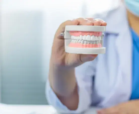 Ile zębów stałych masz naprawdę? Od 28 do 32 pełne wyjaśnienie