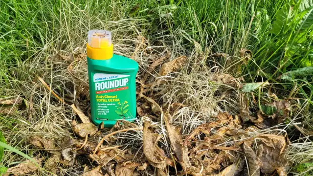 Jak skutecznie zwalczać kolczasty chwast w ogrodzie i na polu