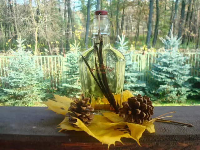 Domowy ekstrakt waniliowy na wódce: Przepis i wieczna matka!