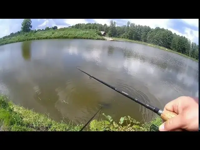 Łowisko Czarna Kolonia – idealne miejsce na wędkowanie bez karty