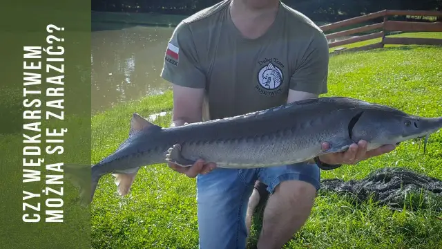 Łowisko Lipuś w Mikołowie: Idealne miejsce na wędkarską przygodę