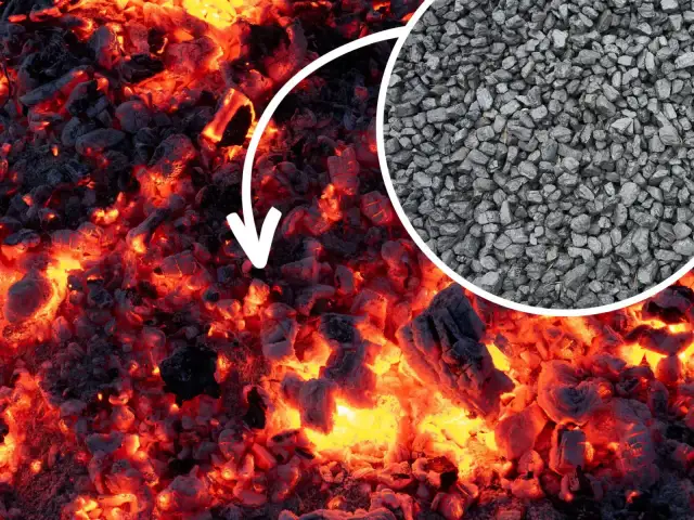 Ekogroszek Kazach: Jakie są jego główne cechy i zastosowania?