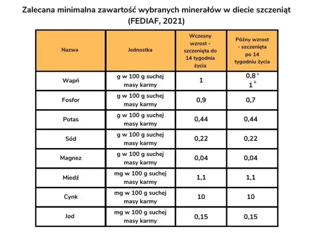 Co ile karmić szczeniaka? Harmonogram i błędy, których unikniesz