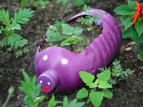 Jak zrobić pawia z butelek? Eko-dekoracja ogrodu krok po kroku