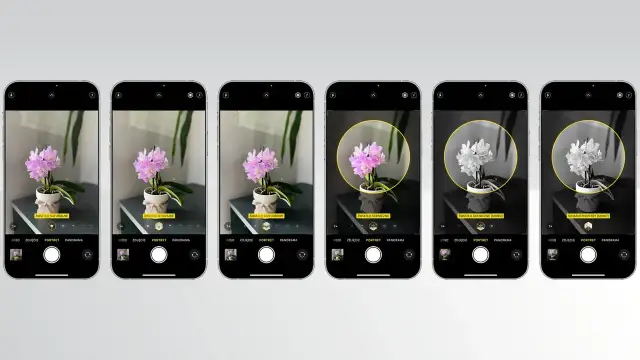 Ładne zdjęcia smartfonem? Klucz to światło, kompozycja i edycja