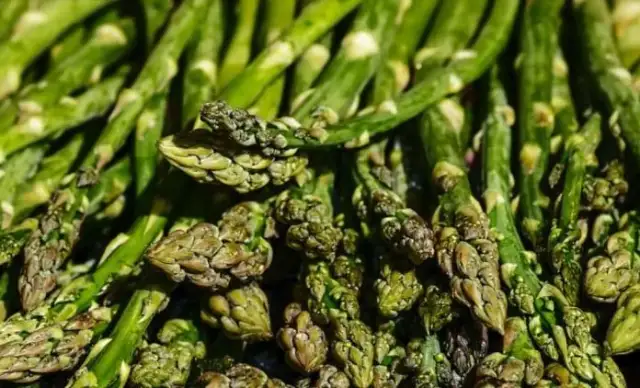 Kiedy jest sezon na szparagi? Sprawdź, aby nie przegapić świeżych!