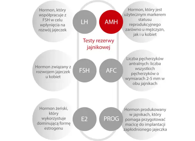 Badanie AMH to marker płodności. Wykres przedstawia hormony i wskaźniki oceny rezerwy jajnikowej.