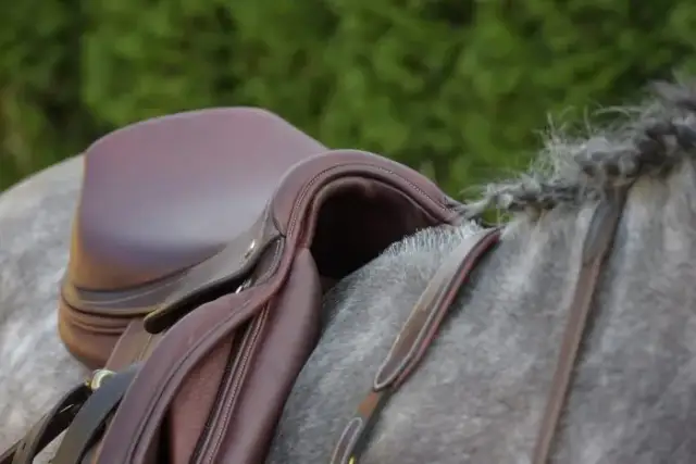 Jak dopasować siodło do konia, aby uniknąć bólu i dyskomfortu