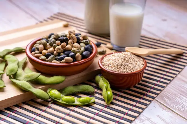 Białko roślinne w czym znajdziesz najlepsze źródła dla zdrowia