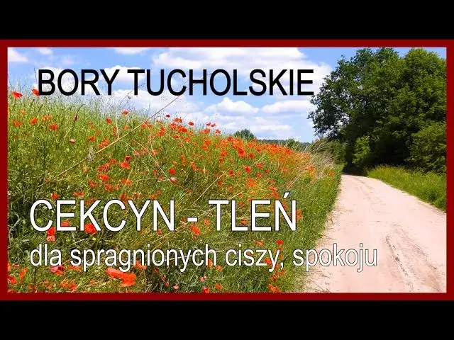 Las Camp Cekcyn: Jak Bory Tucholskie stały się mekką elektroniki?