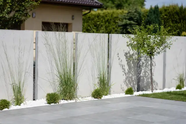 Ile od płotu można sadzić drzewa, aby uniknąć problemów z sąsiadami?