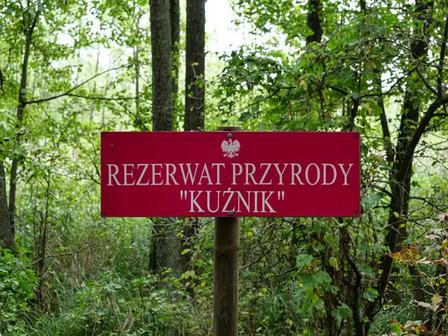 Rezerwat Kuźnik: Odkryj perłę Wielkopolski przewodnik po Gwdzie