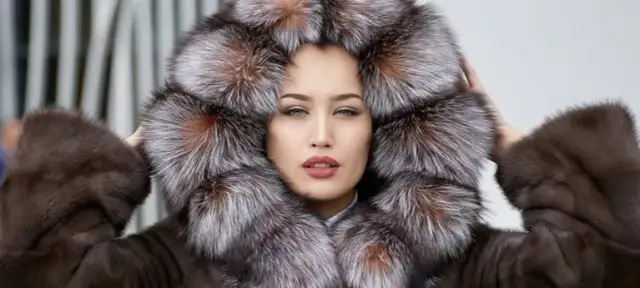 Gdzie kupić Modna Koza? Sprawdź najlepsze miejsca na zakupy