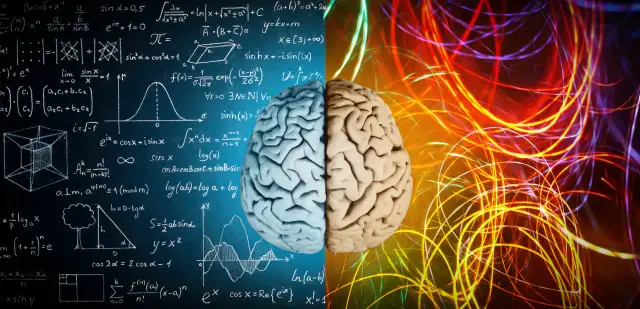 Mózg męski i żeński: Fakty, mity. Klucz do lepszych relacji?