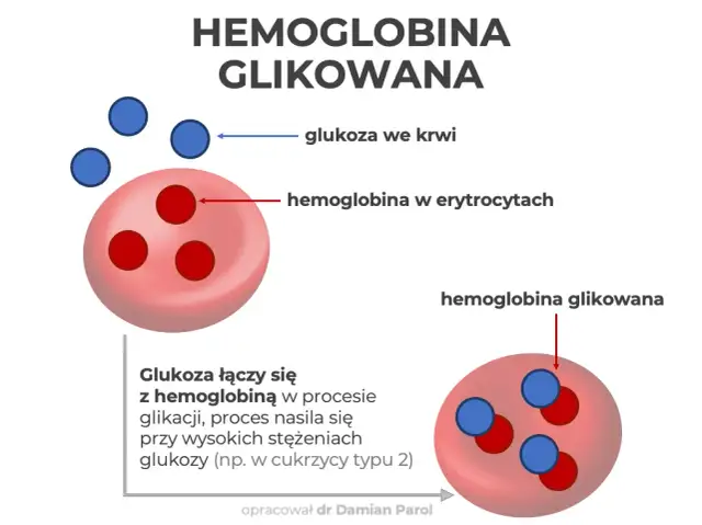 Hemoglobina glikowana (HbA1c): Co oznacza Twój wynik?
