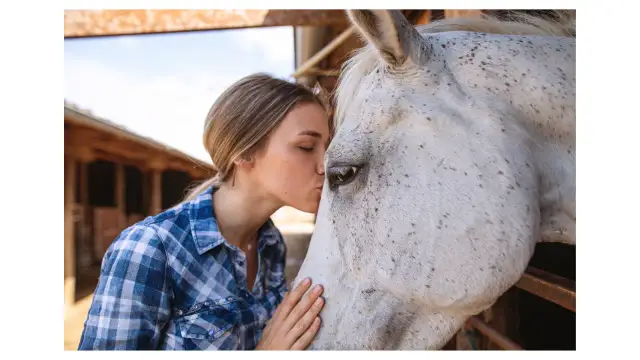 Hipologia i jeździectwo w Warszawie - najlepsze programy i uczelnie
