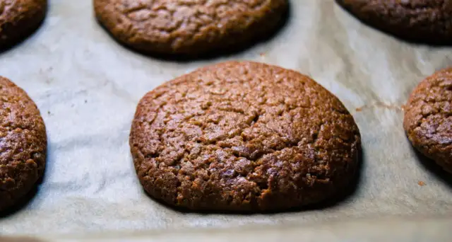 Czy pies może jeść pierniki? Dowiedz się, co może mu zaszkodzić