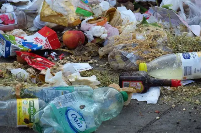 Jak segregować śmieci w Rybniku – uniknij najczęstszych błędów