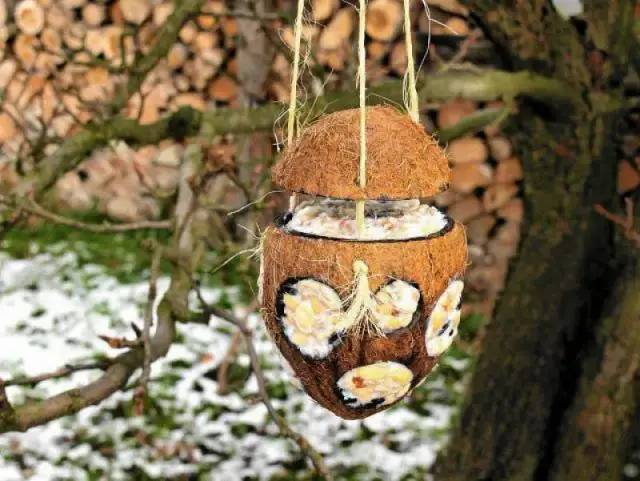 Karmnik dla ptaków z recyklingu: stwórz ekologiczne schronienie dla ptaków