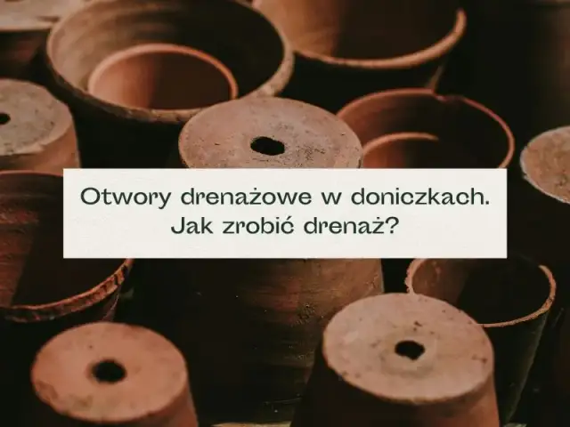 Drenaż w doniczce - klucz do zdrowych roślin i uniknięcia gnicia korzeni