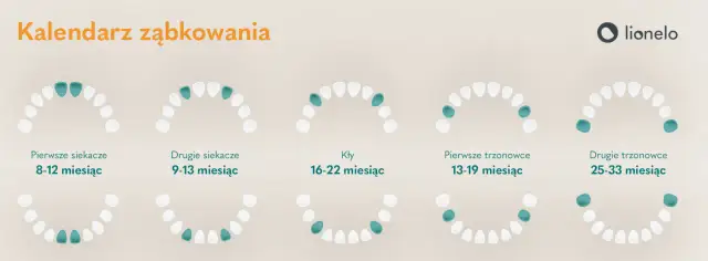 Lakowanie zębów od kiedy? Optymalny wiek i kalendarz dla dziecka
