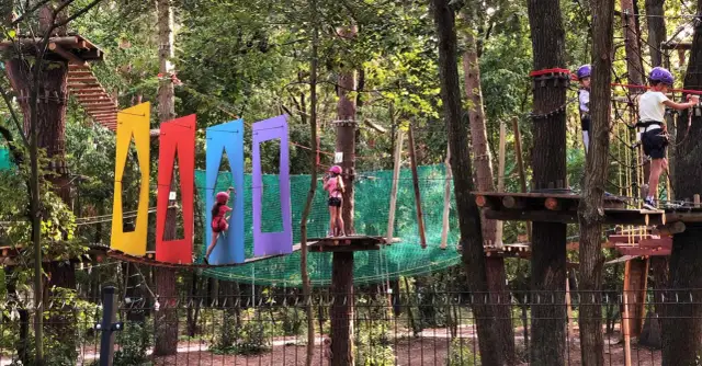 Park linowy Warszawa: Gdzie na przygodę z dziećmi? Cennik, trasy, bezpieczeństwo