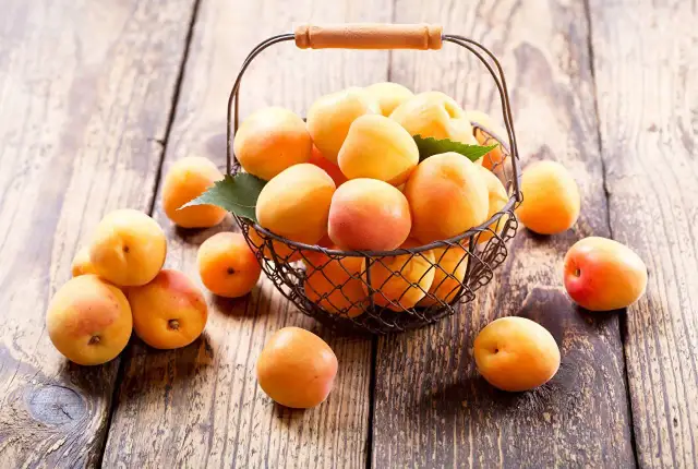 Kosz pełen soczystych moreli Early Orange na drewnianym blacie.