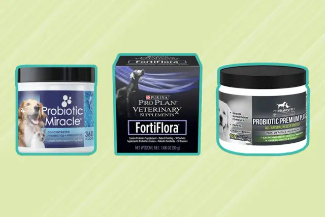 Probiotyk dla psa - gabinet, sklep, apteka? Gdzie kupić?