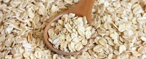 Płatki owsiane dla psa: Bezpieczne? Jak podawać, by nie zaszkodzić?