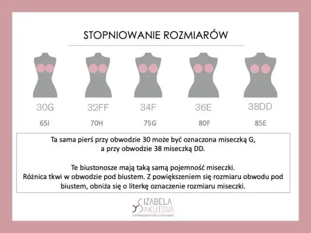 Czy miseczka D to duży biust? Zaskakująca prawda o rozmiarach!