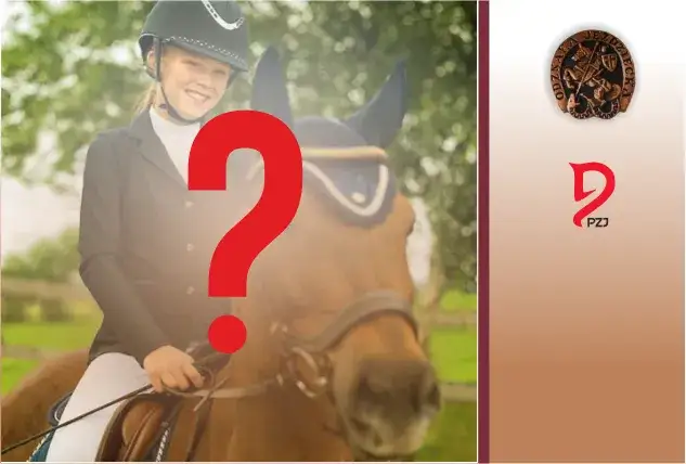 Odznaki w jeździectwie - wymagania i korzyści, które musisz znać