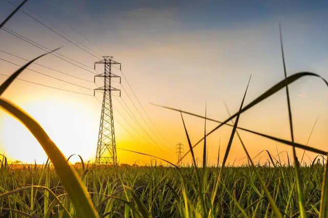 Komu przysługuje tańszy prąd? Sprawdź, czy się kwalifikujesz