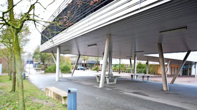 Leine-Schule in Neustadt: Angebote, Bewertungen und wichtige Infos