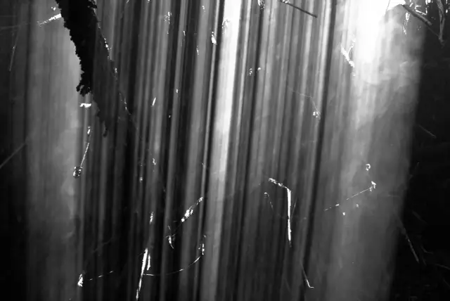 Smugi światła na zdjęciach - Jak uzyskać profesjonalny efekt?