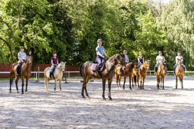 Hipologia i jeździectwo Lublin - kluczowe informacje o studiach i przyszłości
