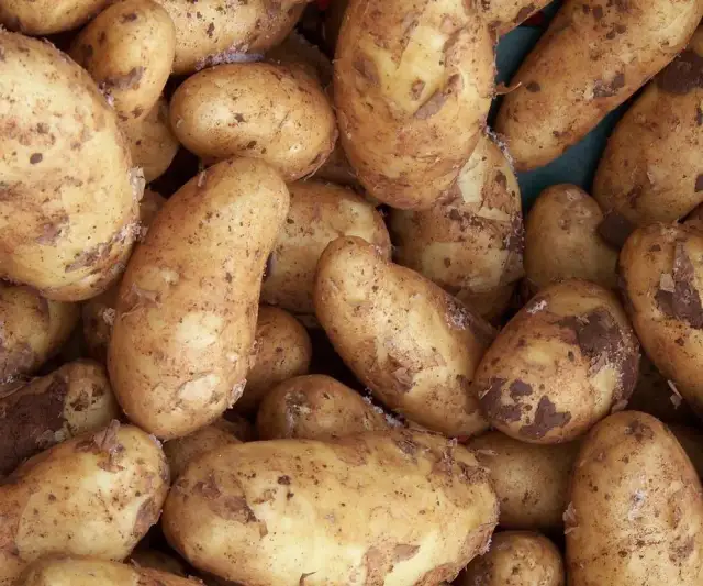 Jakie ziemniaki do sałatki jarzynowej, by uniknąć rozpadania się?