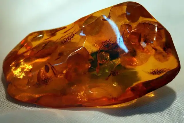 Jak wygląda bursztyn z morza? Zaskakujące różnice w kolorze i fakturze