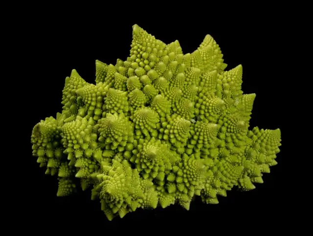 Zielone warzywo podobne do kalafiora, romanesco, o hipnotyzującym, fraktalnym kształcie, wyrasta na czarnym tle.