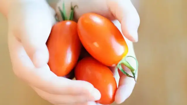 Czy pomidory tuczą? Odkryj prawdę o ich wpływie na wagę