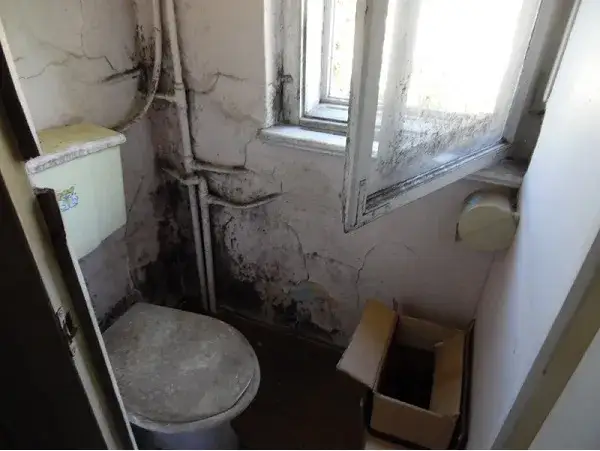 Jak napisać pismo do spółdzielni mieszkaniowej w sprawie grzyba, aby skutecznie rozwiązać problem?