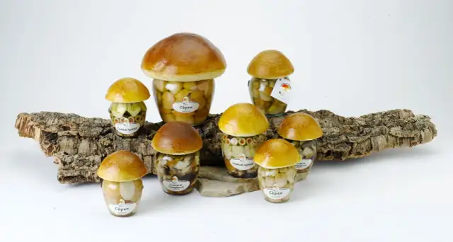 Grzyby we śnie - Odkryj tajemnicze piękno natury