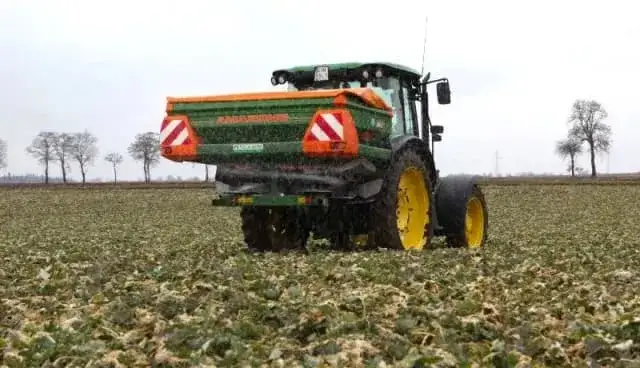 Czy można siać wapno na zboże? Jak uniknąć uszkodzeń roślin