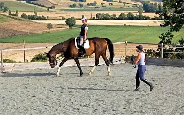 Jak nauczyć się jeździć konno - kluczowe kroki dla początkujących